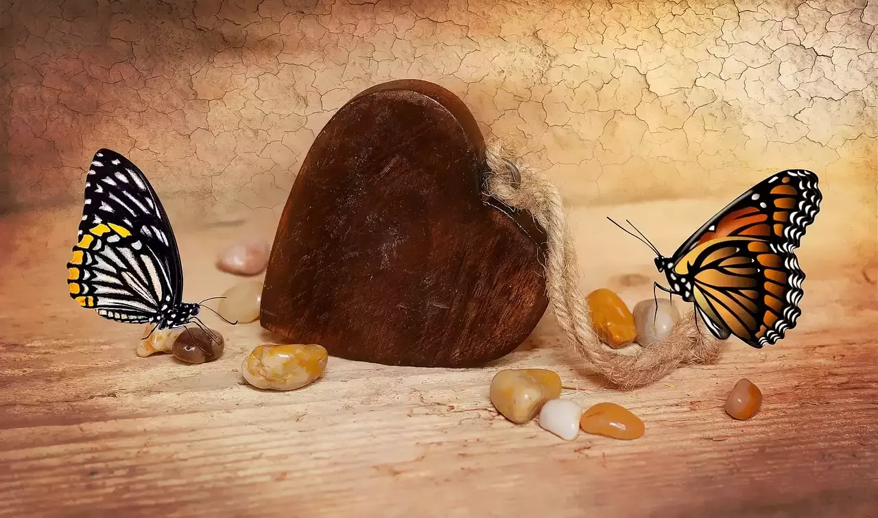 מדוע פרפרים לא אוהבים חרקים אחרים